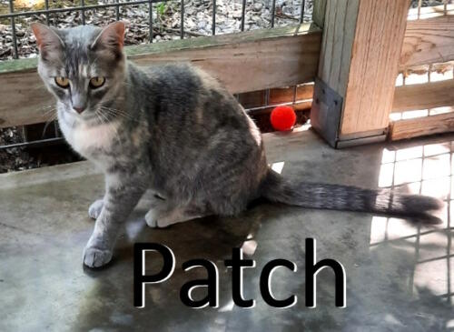 Stone County Humane Society